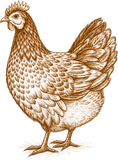Logo Ô Poulailler